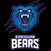 Birmingham Bears
